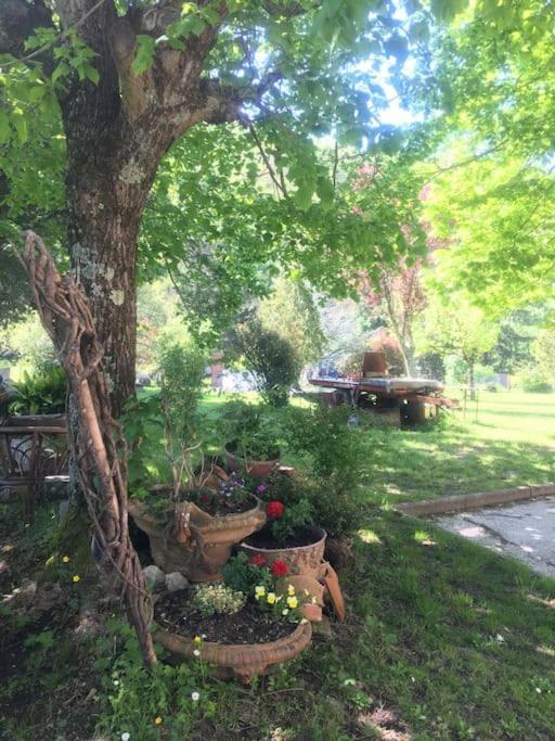 Welcome In Toscana Polcanto Exterior photo